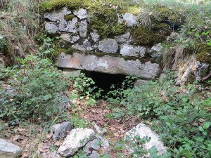 Necropoli del Cantone - tomba 14