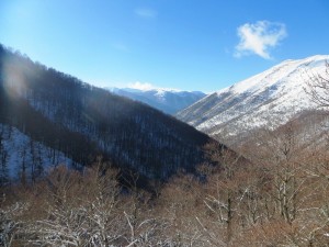 Panoramica dalla Faggeta di Val Cervara