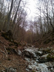 l'entrata della Val Cervara