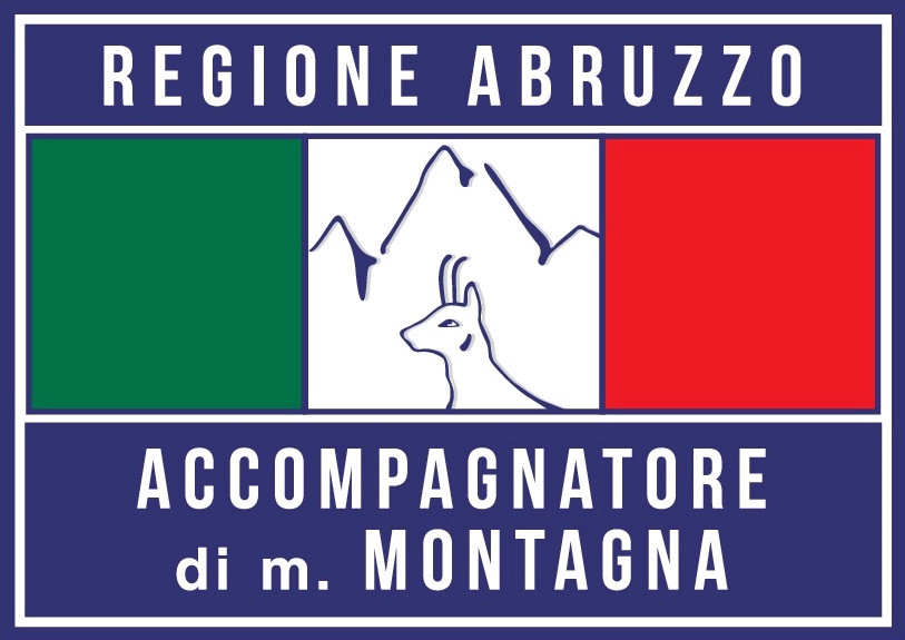 logo ACCOMPAGNATORE