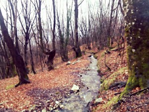 Segui il corso del fiume...