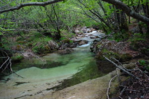 national_park_of_abruzzo_latium_and_molise_02196