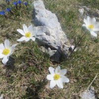 Escursione guidata sul Monte Velino