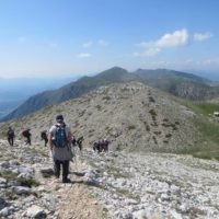 Escursione guidata sul Monte Velino