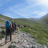 Escursione guidata sul Monte Velino