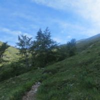 Escursione guidata sul Monte Velino