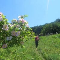 Eremo di San Giovanni all'Orfento